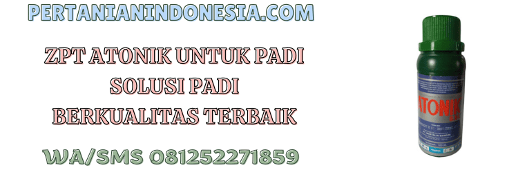 zpt,atonik,atonik 6.5 l,mastalin mandiri,pertanian indonesia